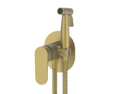 283551-S Комплект скрыт. монтажа для биде овал. (мат. золото) ViEiR  (10/1шт)