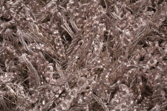 Batex Vegas, односторонний квадратный коврик 68% полиэстер и 32% хлопок, размер 60x60 см, цвет песочный