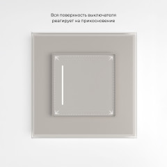 Умный сенсорный выключатель одноклавишный (дымчатый) W4513641