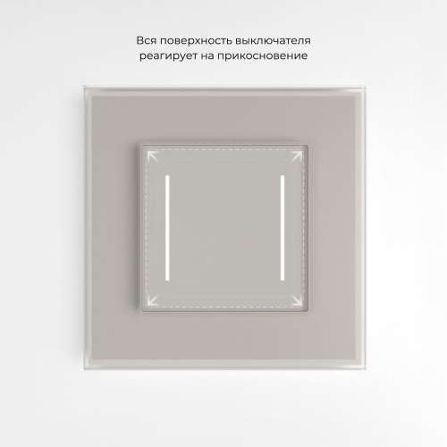 Сенсорный выключатель двухклавишный с подсветкой (дымчатый) W4522014