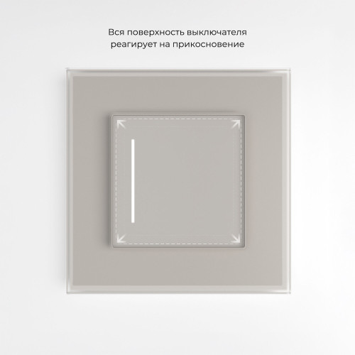 Сенсорный выключатель одноклавишный с подсветкой (дымчатый) W4512014