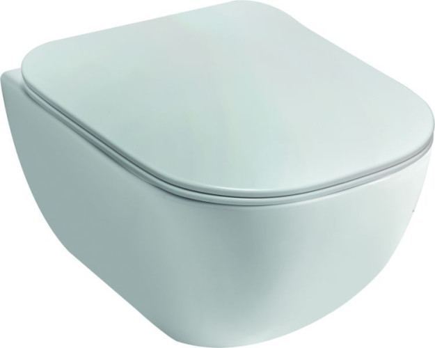 Disegno ceramica Forever, подвесной безободковый унитаз, c крепежом, 50x37 см, цвет белый глянцевый