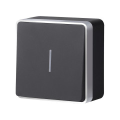 Выключатель одноклавишный с подсветкой Gallant черный с серебром W5010134 W5010134