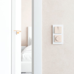 Диммер N (слоновая кость) W1142003