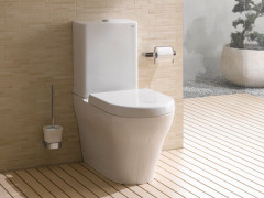 Моноблок TOTO MH CW161Y