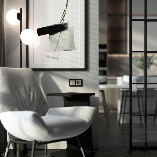 Розетка с заземлением (дымчатый) W1271004