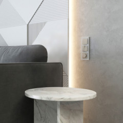 Диммер (дымчатый) W1242004