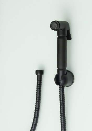 2111-C SET  Комплект для биде (ЧЕРНЫЙ) GANZER  (20/1шт)