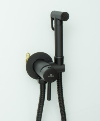 42101-C Set Смеситель встраива. для биде КРУГ. (ЧЕРНЫЙ) GANZER  (10/1шт)